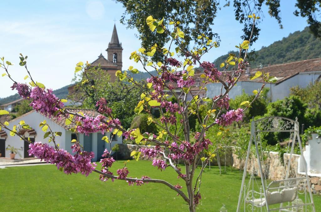 Pensjonat Casona Del Duende Alájar Zewnętrze zdjęcie